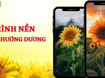 Tuyển Tập Hình Nền Máy Tính Đẹp Với Hoa Tươi Rạng Rỡ